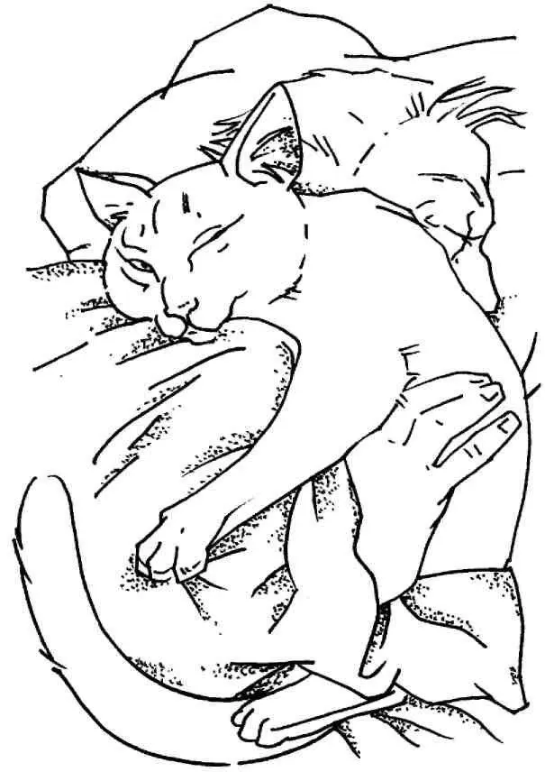 Колыбельная с котом Баюбай должны все ушки ночью спать Лишь луна на небо - фото 23