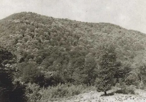 На Змейке где была келья Олега Фото 1955 С матерью Олега Мариной - фото 58