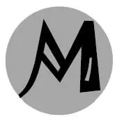 МАЗОХИСТ а м Шутл ирон Игрок которому на поле чуждо чувство страха - фото 148