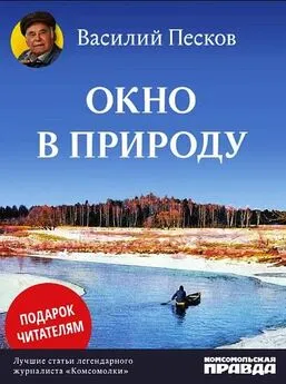 Василий Песков - Окно в природу