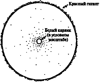 Рис 712Красный гигант с белым карликом в своей сердцевине Сами по себе белые - фото 182