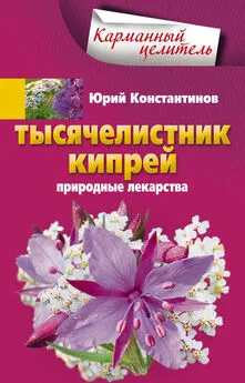 Юрий Константинов - Тысячелистник, кипрей. Природные лекарства