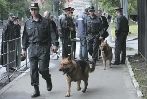 Мещанское правосудие без служебных собак не справляется Стражи - фото 30