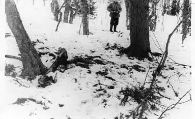 Снимок 1959 г остатков костра дятловцев у кедра Костер дятловцев был - фото 100