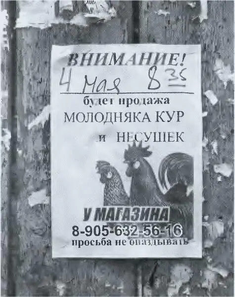 Повседневная жизнь русского путешественника в эпоху бездорожья - фото 56