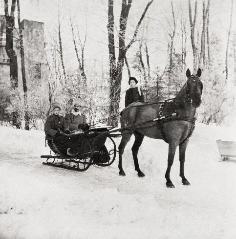 Пьер Жильяр и Алексей Николаевич в Царском Селе 1913 г Пьер Жильяр и - фото 14