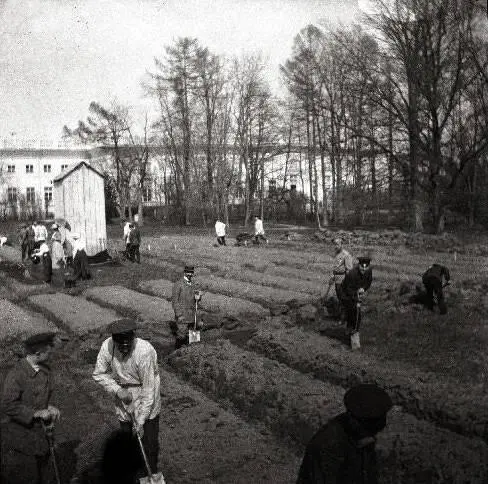 Жильяр работает в огороде разбитом в Царскосельском парке Май 1917 г - фото 51
