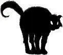 Chapter 12 IN WHICH THERE ARE MONSTERS AND CATS WHICH IS TO SAY VERY MUCH - фото 14
