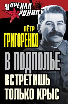 Петр Григоренко - В подполье встретишь только крыс