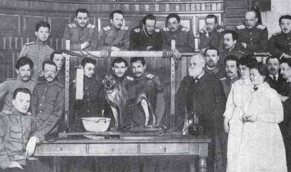 И П Павлов с ассистентами и слушателями Военно медицинской академии В - фото 131