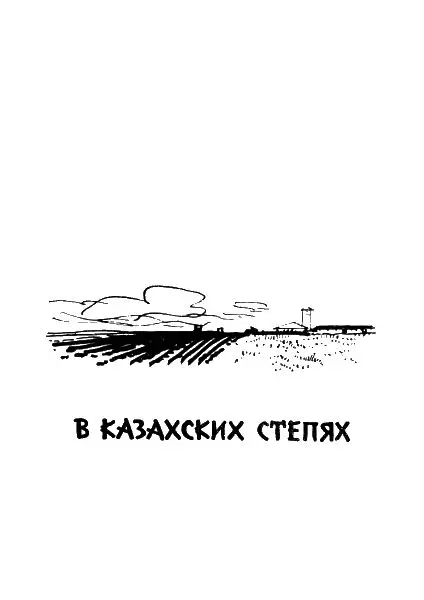 Колышек у вербы Мама смотри лес закричала Зина и все кто ехал в - фото 4