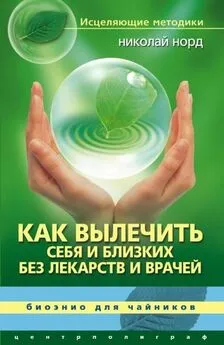 Николай Норд - Как вылечить себя и близких без лекарств и врачей. Биоэнио для чайников