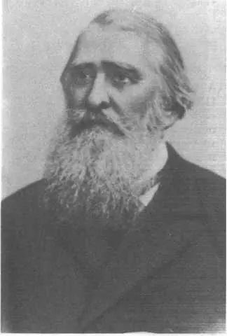 А Н Плещеев 18251893 Литография 1890 г ив архива И А Бунина Ваши и - фото 22