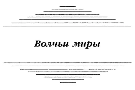 Кэтрин и Карен по неиссякаемому множеству причин а также настоящему Алксу - фото 4