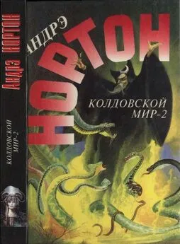 Андрэ Нортон - Колдовской мир — 2 (Поворот): Бури победы