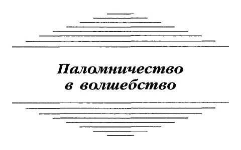 Глава 1 Чердачный гоблин наблюдал исподтишка за монахом а тот не сводил глаз - фото 4