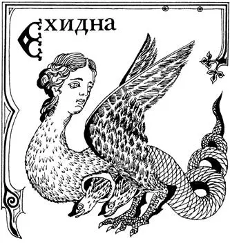 Читать греческие мифы это все равно что собирать землянику в июльском - фото 28
