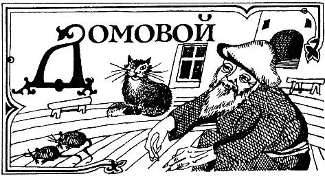 Исследование образа жизни внешности и характера домового следует очевидно - фото 46