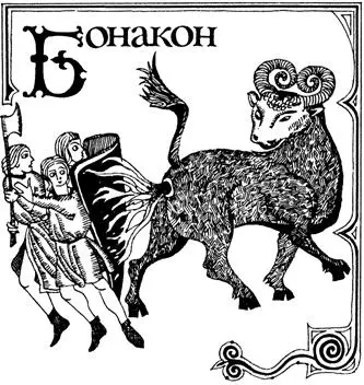 Бонакон зверь таинственный притом совершенно безвредный если к нему не - фото 75