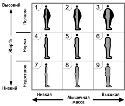 Зная к какому физическому рейтингу вы относитесь вы можете быстрее сбросить - фото 22