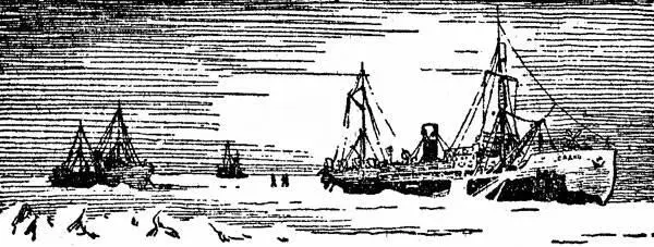 Корабли стали на зимовку Малыгин остановился у края старой толстой льдины - фото 7