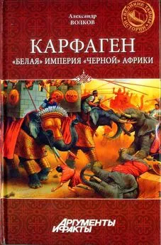 Александр Волков - Карфаген. Белая империя чёрной Африки