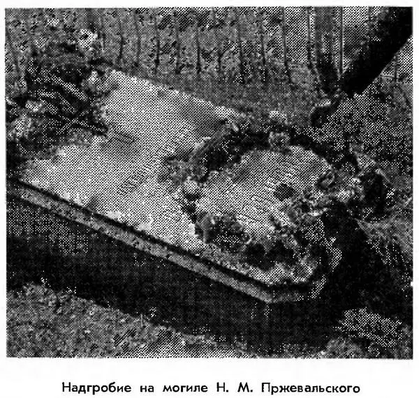 В советское время по соседству с памятником вырос поселок городского типа - фото 14