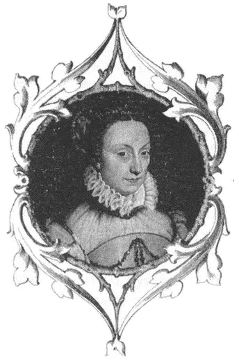 Жанна III Отравленный миротворец После смерти мужа у королевы Жанны - фото 175