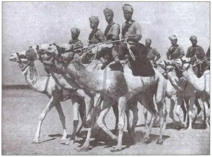 Британский верблюжий корпус 1917 г Боевые действия на Синае Война в - фото 27