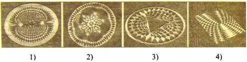 Рис 5 Серия фигур на злаковых полях с демонстрацией Силовых полей от двух и - фото 38