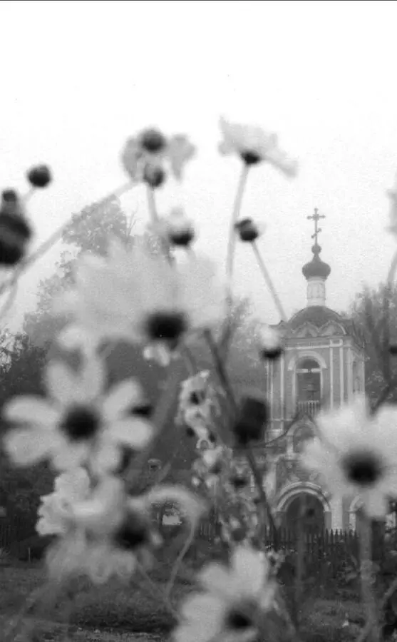Я верный вдохновению псаломщик стихами утешающий себя Стихи Зимний вечер - фото 9