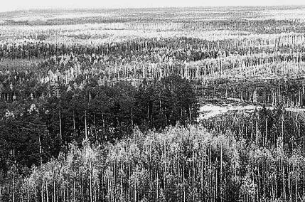В середине двадцатых годов началось освоение природных ресурсов Дальнего - фото 94