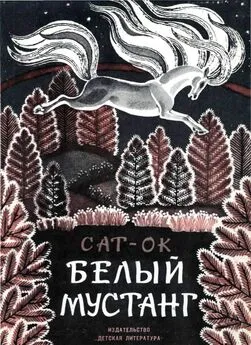 Николай Внуков - Предисловие к книге Сат-Ок «Белый мустанг»