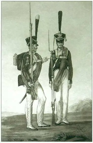 Унтерофицер и гренадер гренадерского полка ЛИКиль 1815 г Различия рот - фото 13