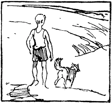 Скучна и однообразна степь в конце лета трава выгорела и поникла полевые - фото 6