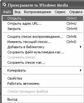 Рис 312 Открытие медиафайла При активизации данной команды на экране - фото 46