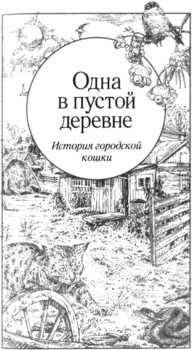 Одна в пустой деревне История городской кошки Посвящается моей матери - фото 13
