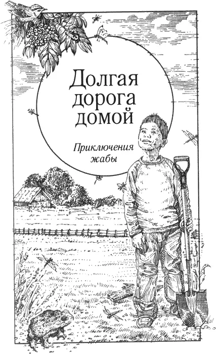 Долгая дорога домой Приключения жабы Проспала весну Жаба ещё спала в - фото 44