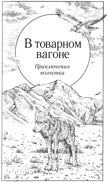 В товарном вагоне Приключения волчонка Охота Волчица гнала лося в - фото 67