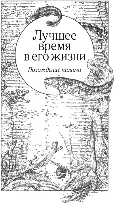 Лучшее время в его жизни Похождение налима Сушь С начала лета не было - фото 77