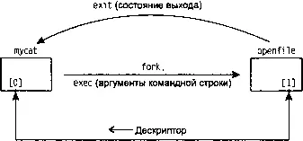 Рис 152 Программа mycat после запуска программы openfile Родительский - фото 101