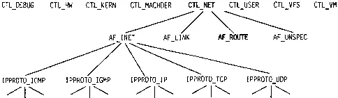 Рис 184 Информация возвращаемая функцией sysctl для команд CTLNET и - фото 110