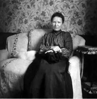 О К Тетерникова в интерьере квартиры Федора Сологуба при Андреевском - фото 35