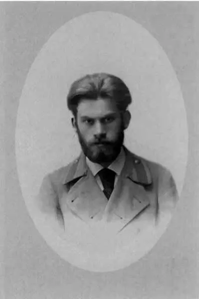 Владимир Васильевич Гиппиус Фотография ателье А Рентц и Ф Шрадер - фото 46