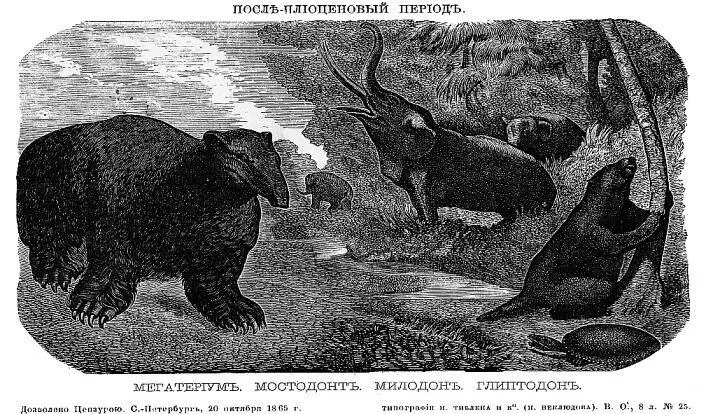 Послеплиоценовый период К исчезнувшим и наиболее замечательным видам - фото 6