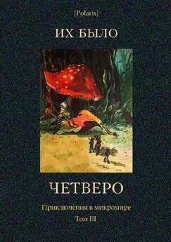 П. Гордашевский - Их было четверо. Приключения в микромире. Том III