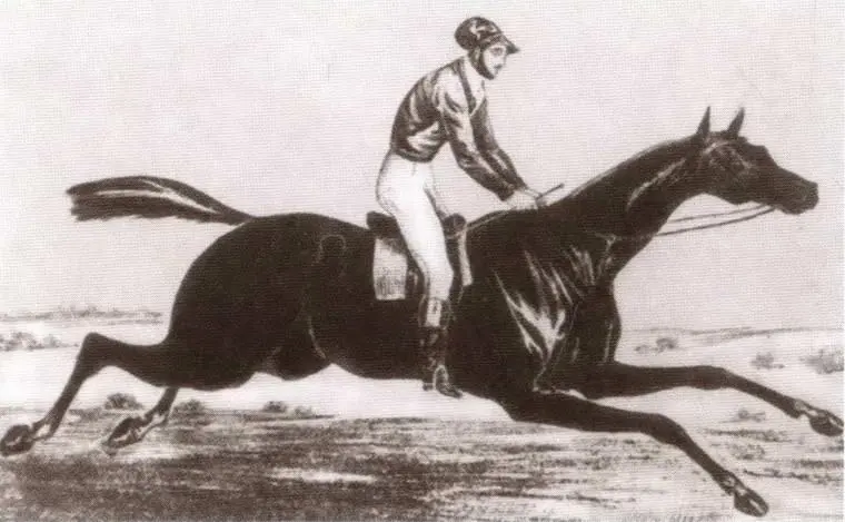 А В СуховоКобылин лучший жокей России Акварель 1842 г Предполагаемый - фото 13