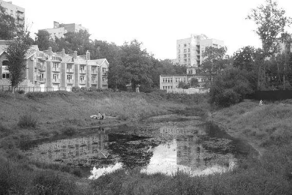 Так выглядит сегодня обмелевшее озеро Линден Фото автора сентябрь 2008 г - фото 76