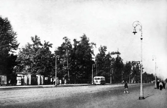Вид на парк Челюскинцев и проспект Энгельса 1950е гг Уникальные - фото 173