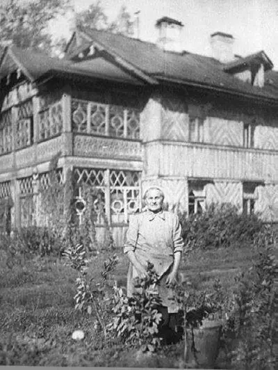 Дом 31 по Костромскому проспекту На первом плане МС Квартальная бабушка - фото 261